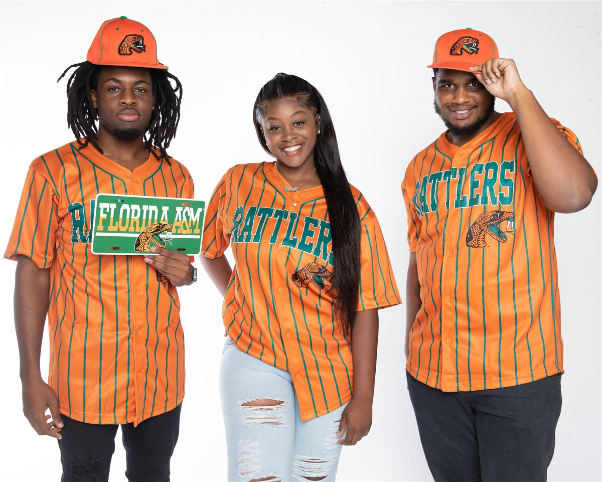 Florida A&M Rattlers Pinstripe Button Down Jersey