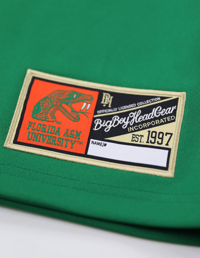 FLORIDA A&M FOOTBALL JERSEY