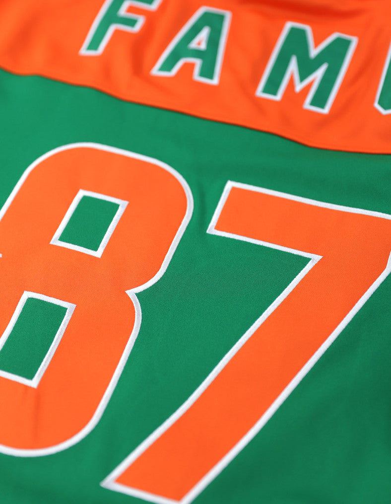 FLORIDA A&M FOOTBALL JERSEY