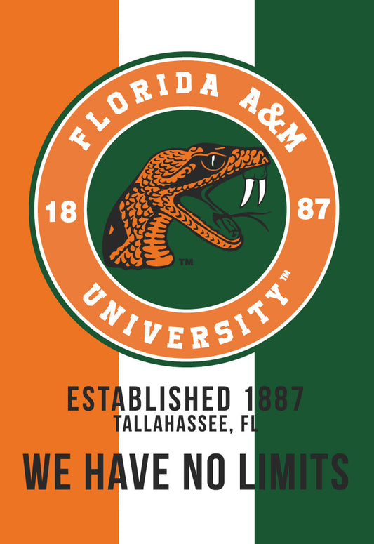 FAMU - WE HAVE NO LIMITS CANVAS PRINT